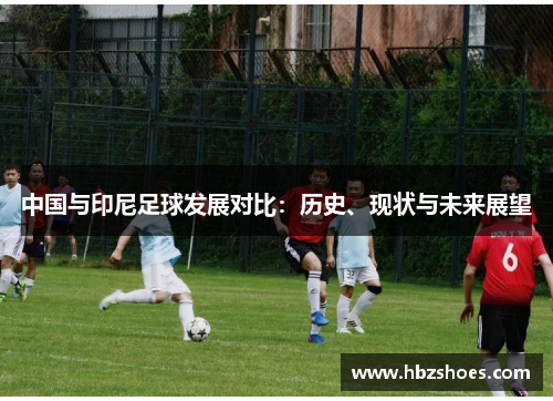 中国与印尼足球发展对比：历史、现状与未来展望
