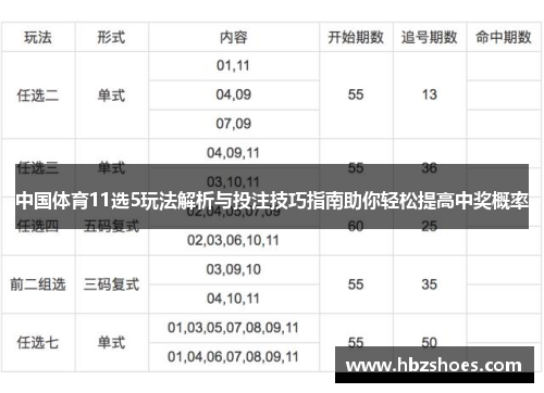 中国体育11选5玩法解析与投注技巧指南助你轻松提高中奖概率