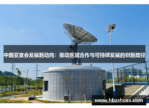 中国亚室会发展新动向：推动区域合作与可持续发展的创新路径