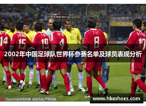 2002年中国足球队世界杯参赛名单及球员表现分析